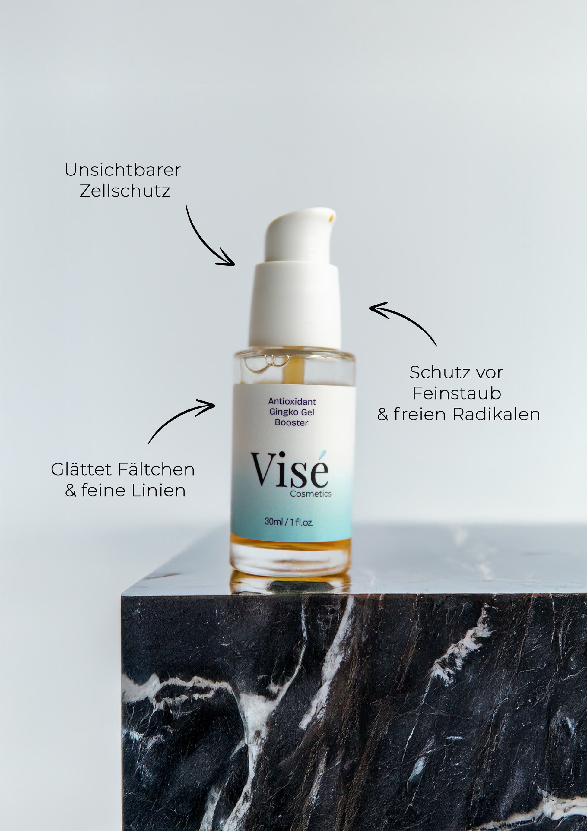 Antioxidant Ginkgo Gel Booster
